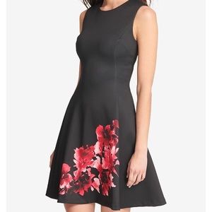 DKNY Floral-Print Fit & Flare Dress, size 4